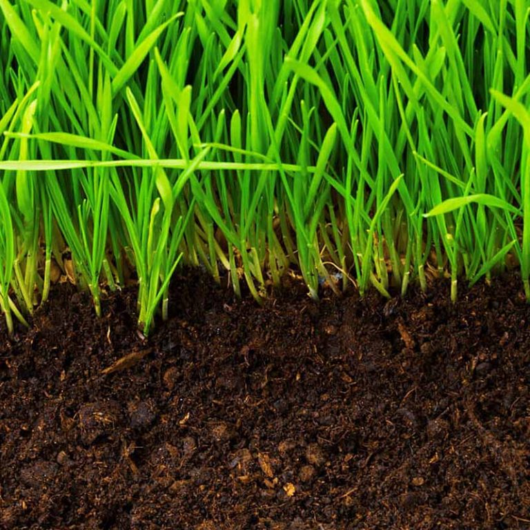 Soil Blends High Line Environmental, Nanaimo, BC