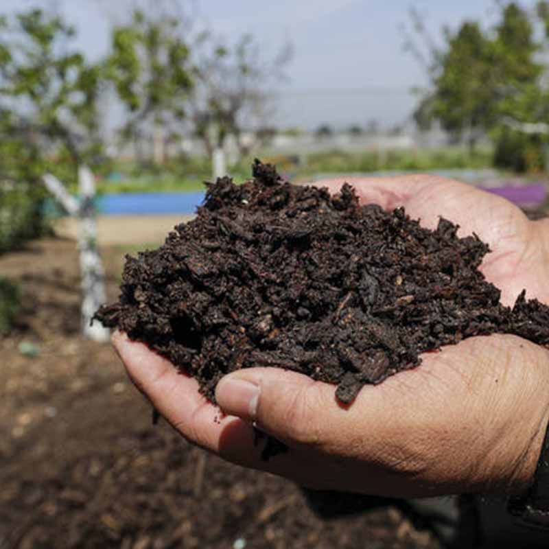 Super Compost Soil