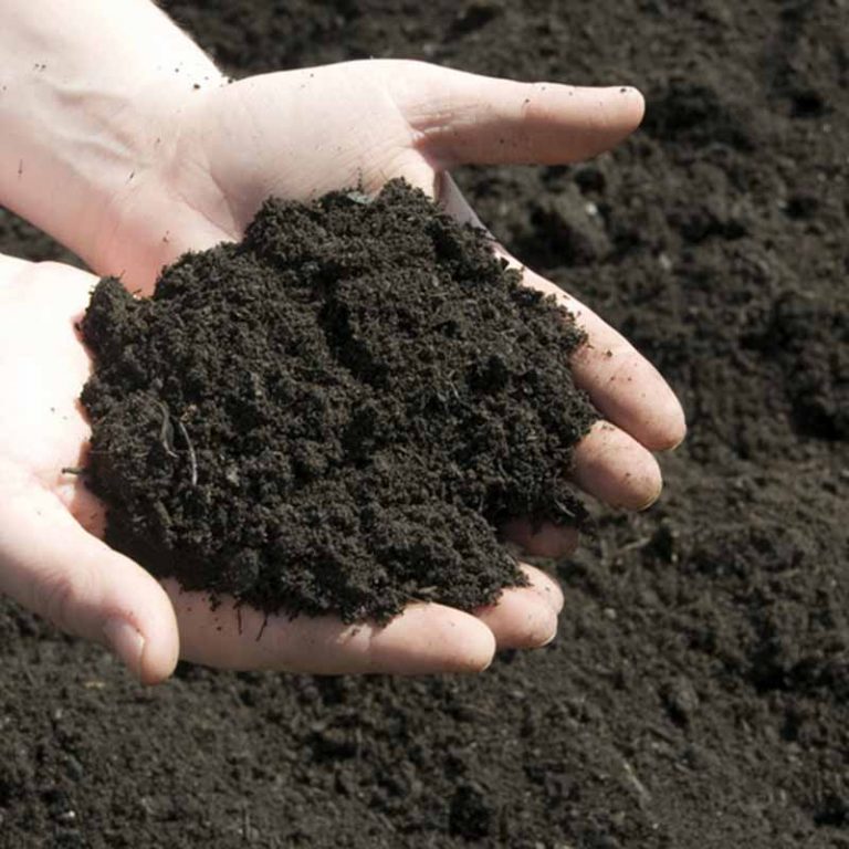 Garden Soil Delivery Ladysmith High Line Environmental, Nanaimo, BC